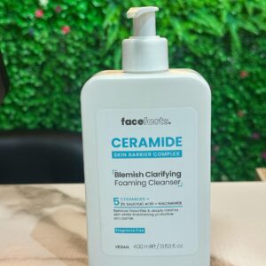 Face Facts Ceramide Foaming Cleanser